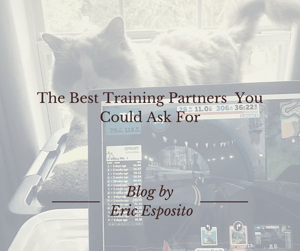 The Best Training Partners  You Could Ask For