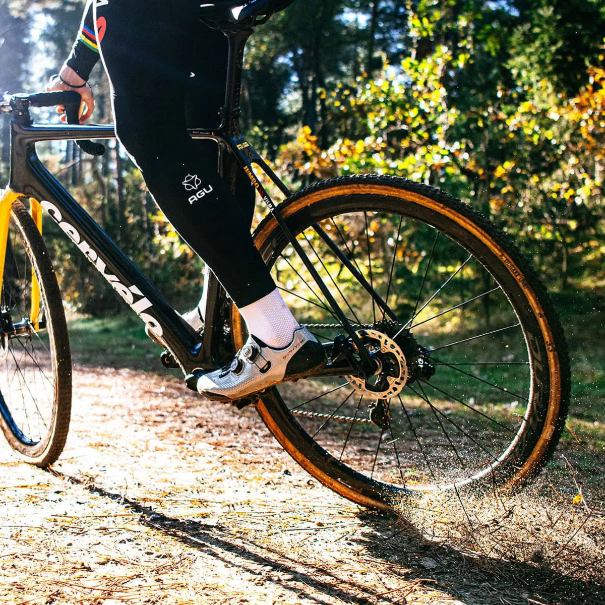 All3Sports Triathlon Gear Road Bikes Swim Gear